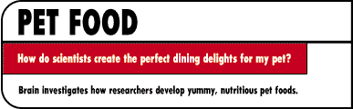 PET FOOD  How do scientist create the perfect dining delights for my pet?  Brian investigates how researchers develop yummy, nutritious pet foods.